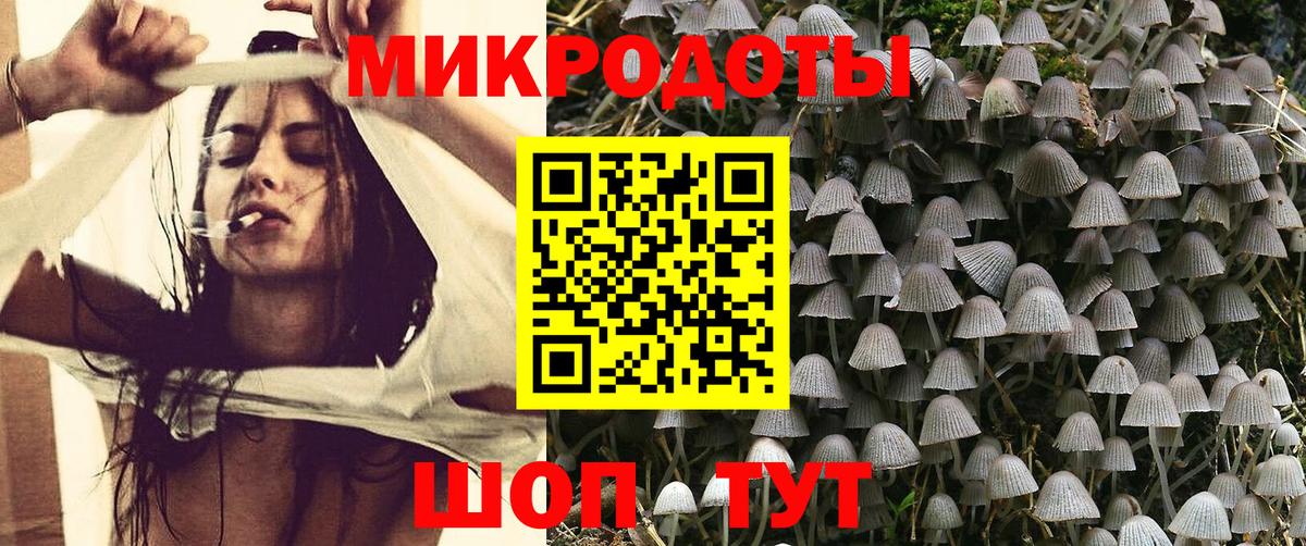 Галлюциногенные грибы Cubensis  Вход с VPN  Аргун 